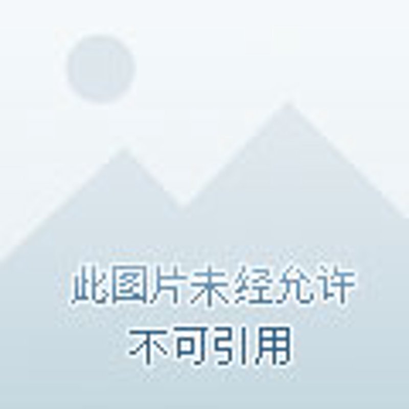 如何有效学习编程基础知识？